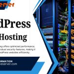 WordPress Web Hosting